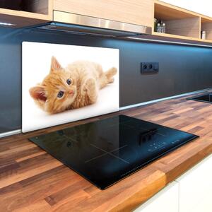 Kuchyňská deska skleněná Červená kočka pl-ko-80x52-f-126034635