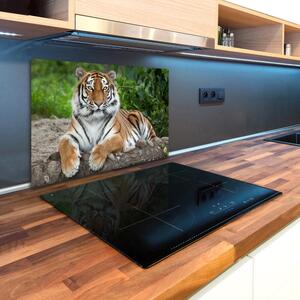 Kuchyňská deska skleněná Sibiřský tygr pl-ko-80x52-f-129133169