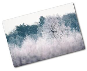 Kuchyňská deska velká skleněná Strom zima pl-ko-80x52-f-142936706