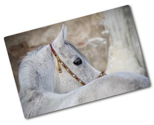 Kuchyňská deska skleněná Bílý arabský kůň pl-ko-80x52-f-143185113