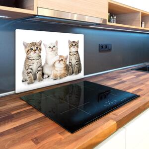Kuchyňská deska skleněná Malé kočky pl-ko-80x52-f-162169974