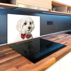 Kuchyňská deska skleněná Maltánský psík pl-ko-80x52-f-190626474
