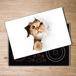 Kuchyňská deska skleněná Kočka v díře pl-ko-80x52-f-33902265