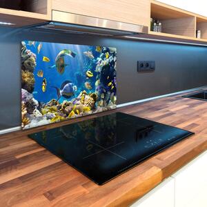 Kuchyňská deska skleněná Korálový útes pl-ko-80x52-f-36026012