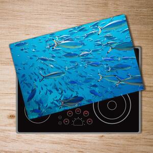 Kuchyňská deska skleněná Barevné ryby pl-ko-80x52-f-39421860