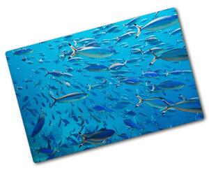 Kuchyňská deska skleněná Barevné ryby pl-ko-80x52-f-39421860