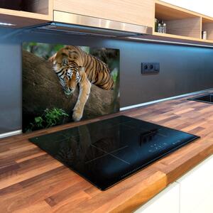 Kuchyňská deska skleněná Tygr na stromě pl-ko-80x52-f-4289086