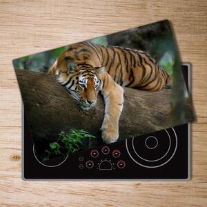 Kuchyňská deska skleněná Tygr na stromě pl-ko-80x52-f-4289086