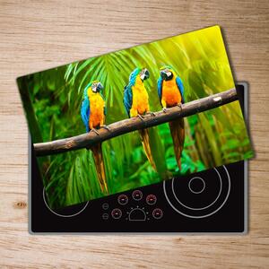 Kuchyňská deska skleněná Papoušci na větvi pl-ko-80x52-f-42532067