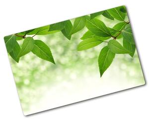Deska na krájení skleněná Zelené listí pl-ko-80x52-f-51811576