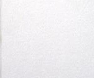 Písecké Lůžkoviny Výprodej prostěradlo froté silné 180x200cm /20 cm Barva: světle šedá