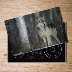 Kuchyňská deska skleněná Šedý vlk pl-ko-80x52-f-57875164