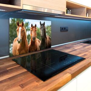 Kuchyňská deska skleněná Tři koně pl-ko-80x52-f-58776709