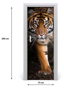 Fototapeta samolepící na dveře tygr 75x205 cm