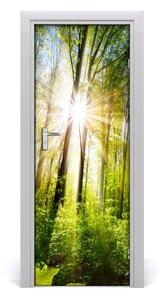 Fototapeta na dveře samolepící slunce v lese 75x205 cm