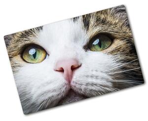 Kuchyňská deska skleněná Zelené kočičí oči pl-ko-80x52-f-72425776