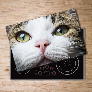 Kuchyňská deska skleněná Zelené kočičí oči pl-ko-80x52-f-72425776