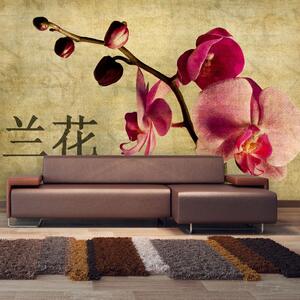 Fototapeta - Japonská orchidej + zdarma lepidlo - 450x270