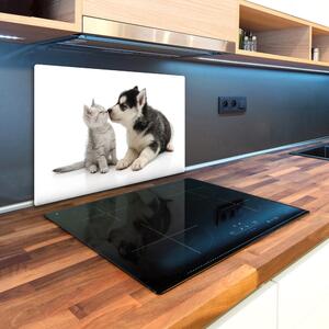 Kuchyňská deska skleněná Pes a kočka pl-ko-80x52-f-73561386