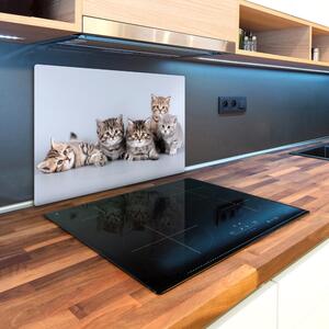 Kuchyňská deska skleněná Pět koček pl-ko-80x52-f-75950374