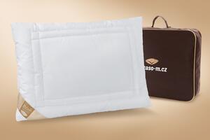 Picaso-M Zdravotní vyvařovací polštář Mirabell Visco Varianty: 40x60 cm (400 g), Vyberte tašku:: dárková hnědá taška na zip
