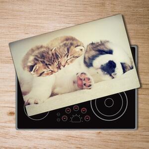 Kuchyňská deska skleněná Dvě kočky a pes pl-ko-80x52-f-78906407