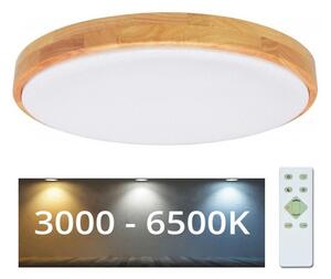 BRILAGI - LED Stmívatelné stropní svítidlo PINE LED/60W/230V + dálkové ovládání BG0289