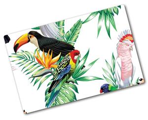 Kuchyňská deska skleněná Tropičtí ptáci pl-ko-80x52-f-82973697