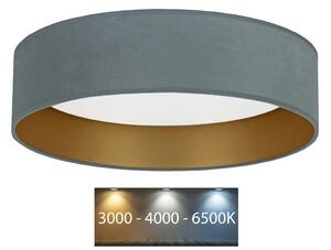 BRILAGI - LED Stropní svítidlo VELVET LED/24W/230V 3000/4000/6400K mintová/zlatá BG0272