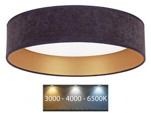 BRILAGI - LED Stropní svítidlo VELVET LED/24W/230V 3000/4000/6400K šedá/zlatá BG0275