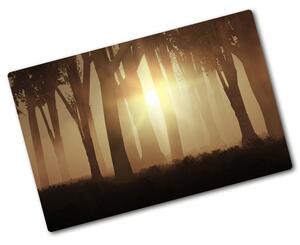 Kuchyňská deska skleněná Mlha v lese pl-ko-80x52-f-84176608