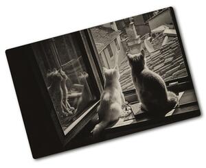 Kuchyňská deska skleněná Kočky u okna pl-ko-80x52-f-86646592