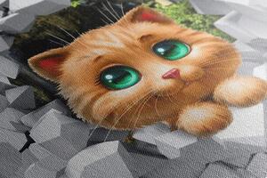 Obraz roztomilá kočička