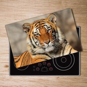 Kuchyňská deska skleněná Bengálský tygr pl-ko-80x52-f-88747131