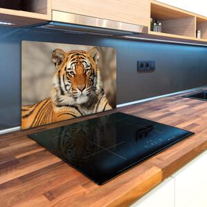 Kuchyňská deska skleněná Bengálský tygr pl-ko-80x52-f-88747131