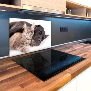 Kuchyňská deska skleněná Pes s kočkou pl-ko-80x52-f-91792125