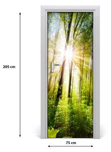 Fototapeta na dveře samolepící slunce v lese 75x205 cm