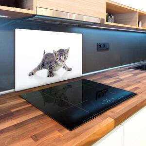 Kuchyňská deska skleněná Malá kočka pl-ko-80x52-f-95620650
