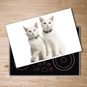 Kuchyňská deska skleněná Bílé kočky pl-ko-80x52-f-97350767