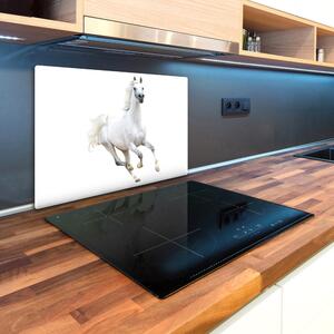 Kuchyňská deska skleněná Bílý arabský kůň pl-ko-80x52-f-99028092