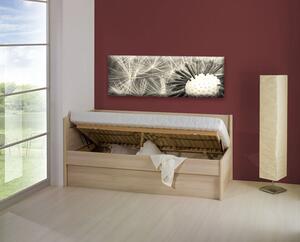 BMB Úložný prostor standard - imitace dřeva Dekor: Dub přírodní, Rozměr: 90 x 200 cm