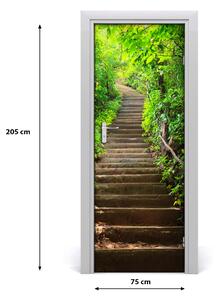 Fototapeta na dveře schody do lesa 75x205 cm