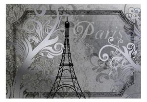 Fototapeta - Paříž - Vintage (stříbrná) + zdarma lepidlo - 200x140