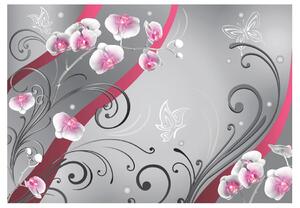 Fototapeta - Růžové orchideje - variace + zdarma lepidlo - 200x140