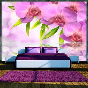 Fototapeta - Orchideje v barvě lila + zdarma lepidlo - 200x140