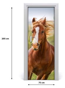 Samolepící fototapeta na dveře Kůň ve cvalu 75x205 cm