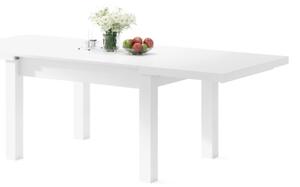 Rozkládací jídelní stůl pro 12 osob RALF 120/270x90 cm bílá