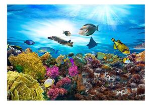 Fototapeta - korálový útes + zdarma lepidlo - 200x140