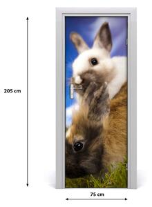 Samolepící fototapeta na dveře Dva králíci 75x205 cm