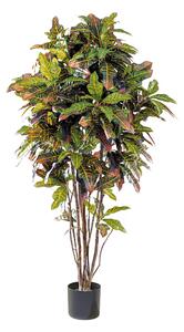 Umělý strom Croton přírodní kmen, 110cm